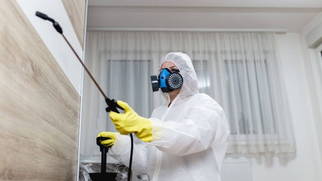 Schädlingsbekämpfung Eschweiler - Kammerjäger Eschweiler - Schädlingsbekämpfung - Wespen - Ratten - Mäuse - Ameisen - Motten - Tauben - Marder - Fliegen - Silberfische - Schädlinge bekämpfen