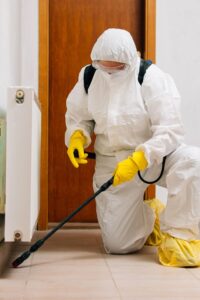 Schädlingsbekämpfung Eschweiler - Kammerjäger Eschweiler - Schädlingsbekämpfung - Wespen - Ratten - Mäuse - Ameisen - Motten - Tauben - Marder - Fliegen - Silberfische - Schädlinge bekämpfen